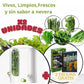 HerbStay Hierbas Siempre Frescas  x2 Unidades + 2 Ebook Premium gratis